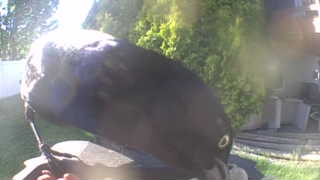 Unidentified clip