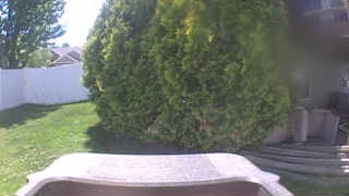 Unidentified clip