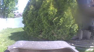 Unidentified clip