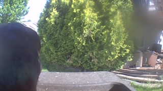 Unidentified clip