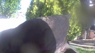 Unidentified clip