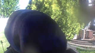 Unidentified clip