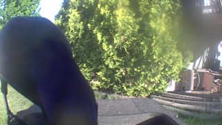Unidentified clip