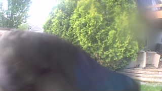 Unidentified clip