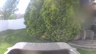 Unidentified clip