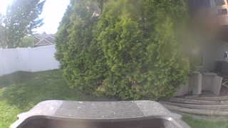 Unidentified clip