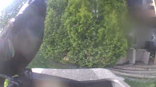 Unidentified clip