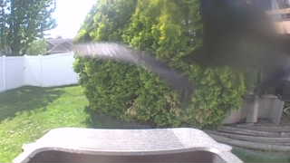 unidentifiable bird