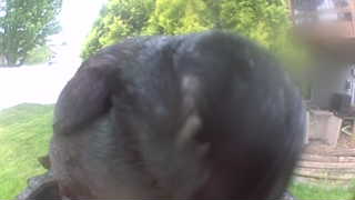 Unidentified clip