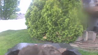 Unidentified clip