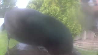 Unidentified clip
