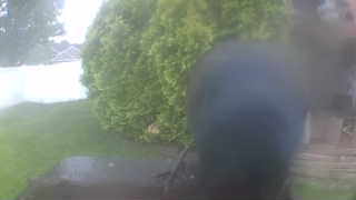 Unidentified clip