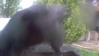 Unidentified clip