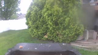 Unidentified clip