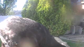 Unidentified clip
