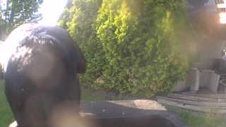 Unidentified clip