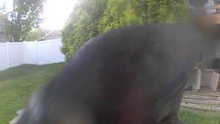 Unidentified clip