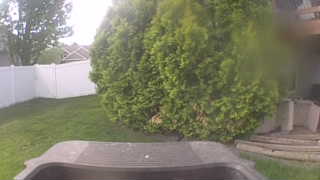 Unidentified clip