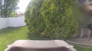 Unidentified clip