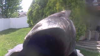 Unidentified clip