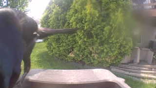 Unidentified clip