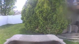 Unidentified clip