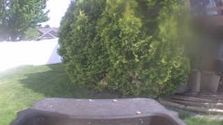 Unidentified clip