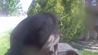Unidentified clip