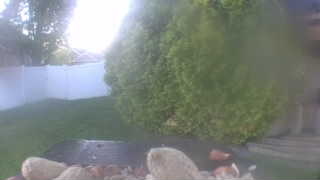 Unidentified clip