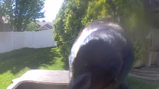 Unidentified clip
