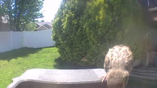 Unidentified clip