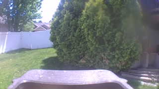 Unidentified clip