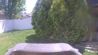 Unidentified clip