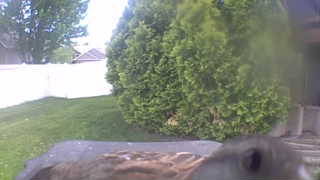 Unidentified clip