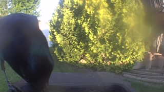 Unidentified clip