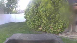 Unidentified clip