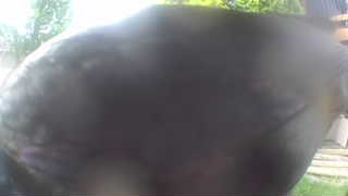 Unidentified clip
