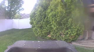 Unidentified clip