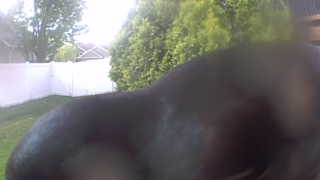 Unidentified clip