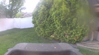 Unidentified clip