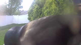 Unidentified clip