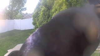 Unidentified clip