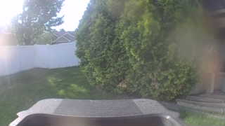 Unidentified clip