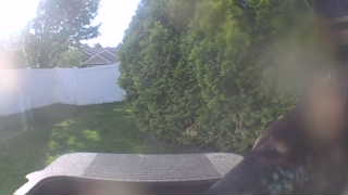 Unidentified clip