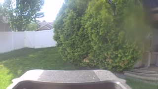 Unidentified clip