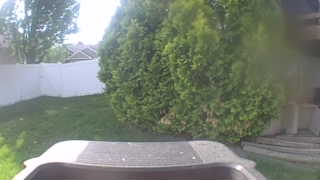 Unidentified clip
