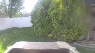 Unidentified clip