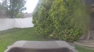 Unidentified clip
