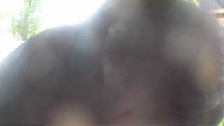 Unidentified clip