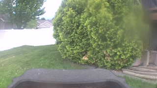 Unidentified clip